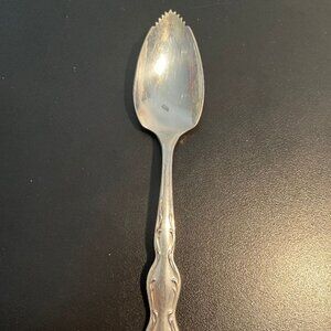 WM Rogers Extra Silver Plate Grapefruit Spoon